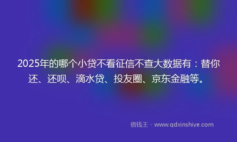 2025年的哪个小贷不看征信不查大数据有：替你还、还呗、滴水贷、投友圈、京东金融等。