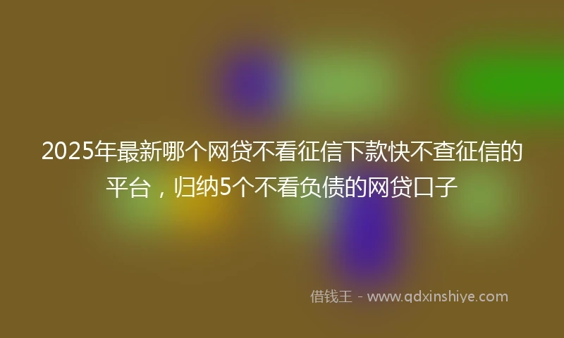 2025年最新哪个网贷不看征信下款快不查征信的平台，归纳5个不看负债的网贷口子