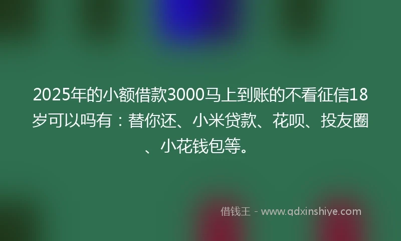 2025年的小额借款3000马上到账的不看征信18岁可以吗有：替你还、小米贷款、花呗、投友圈、小花钱包等。