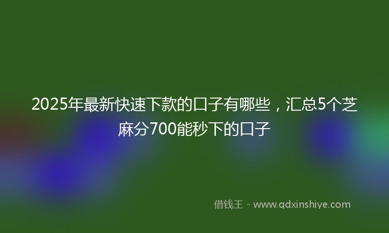 2025年最新快速下款的口子有哪些，汇总5个芝麻分700能秒下的口子
