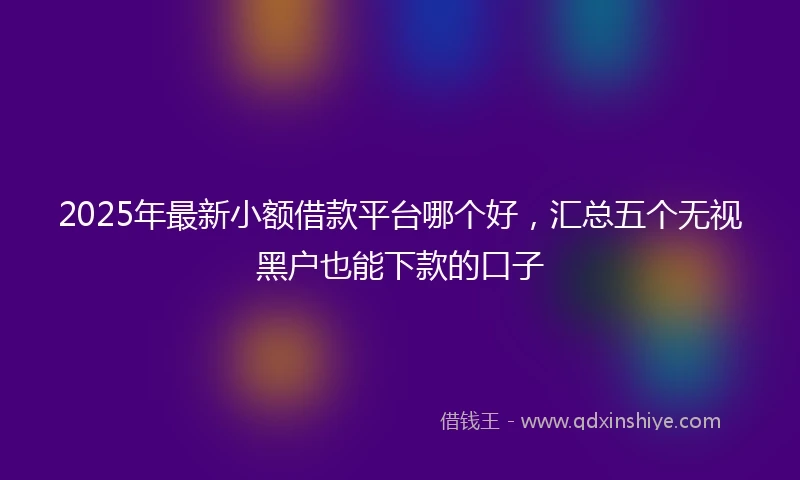2025年最新小额借款平台哪个好，汇总五个无视黑户也能下款的口子