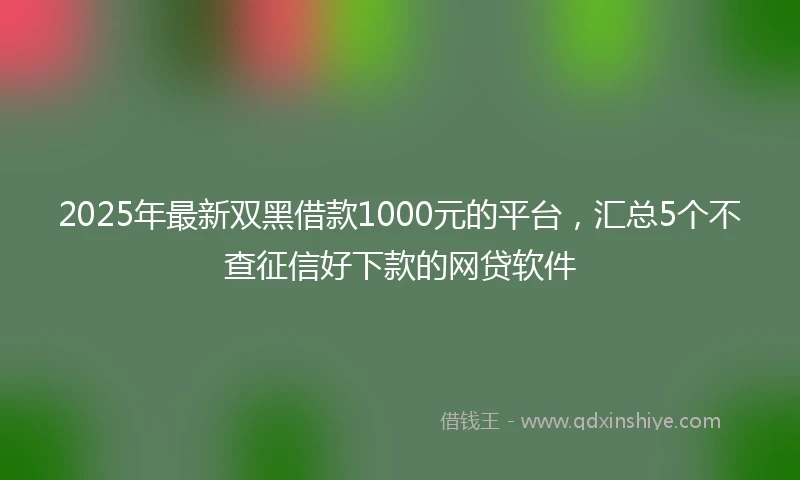 2025年最新双黑借款1000元的平台，汇总5个不查征信好下款的网贷软件