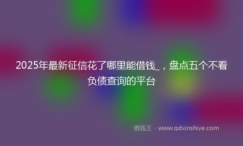 2025年最新征信花了哪里能借钱_，盘点五个不看负债查询的平台