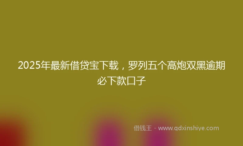 2025年最新借贷宝下载，罗列五个高炮双黑逾期必下款口子