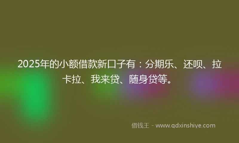 2025年的小额借款新口子有：分期乐、还呗、拉卡拉、我来贷、随身贷等。