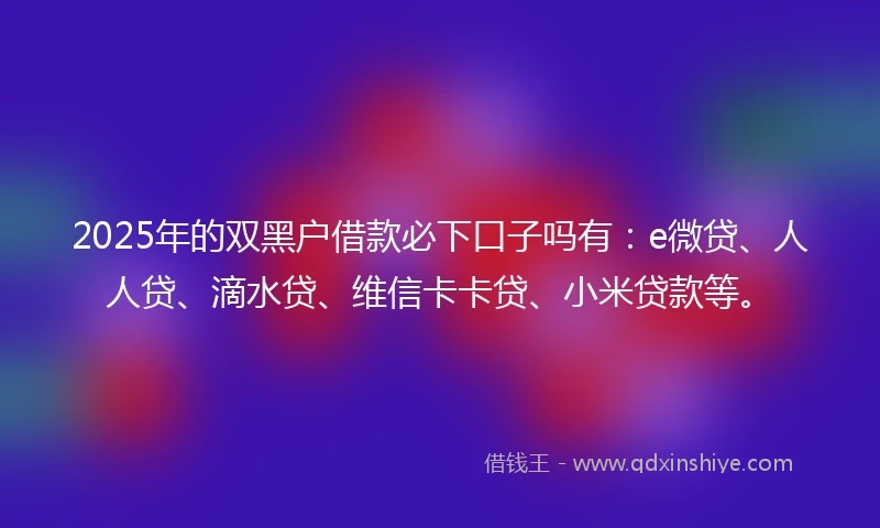 2025年的双黑户借款必下口子吗有：e微贷、人人贷、滴水贷、维信卡卡贷、小米贷款等。