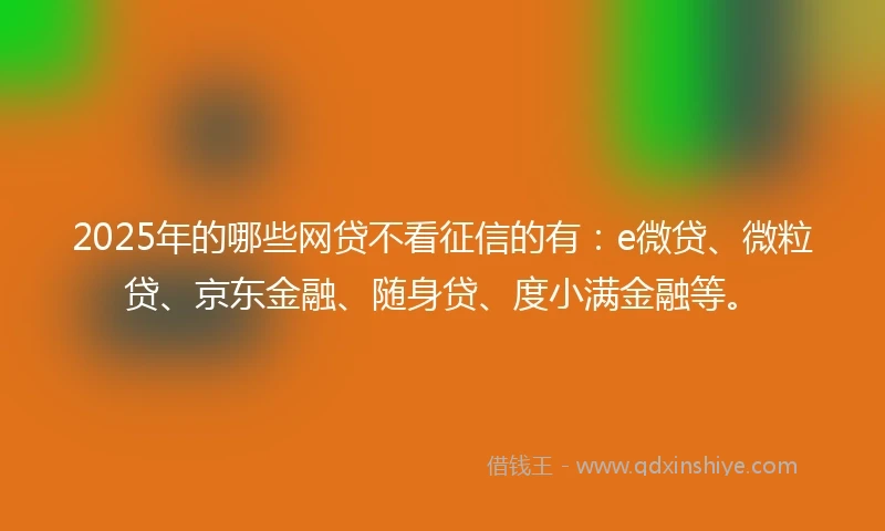 2025年的哪些网贷不看征信的有：e微贷、微粒贷、京东金融、随身贷、度小满金融等。