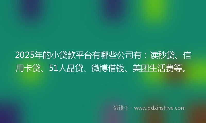 2025年的小贷款平台有哪些公司有：读秒贷、信用卡贷、51人品贷、微博借钱、美团生活费等。