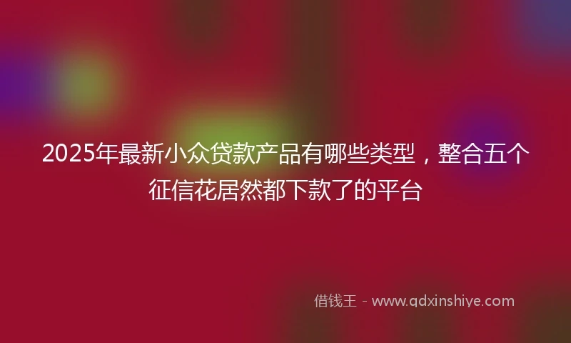 2025年最新小众贷款产品有哪些类型，整合五个征信花居然都下款了的平台
