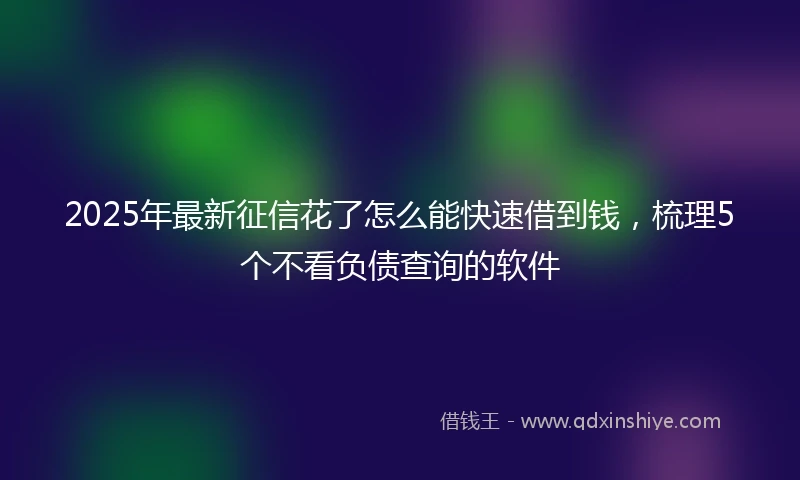 2025年最新征信花了怎么能快速借到钱，梳理5个不看负债查询的软件