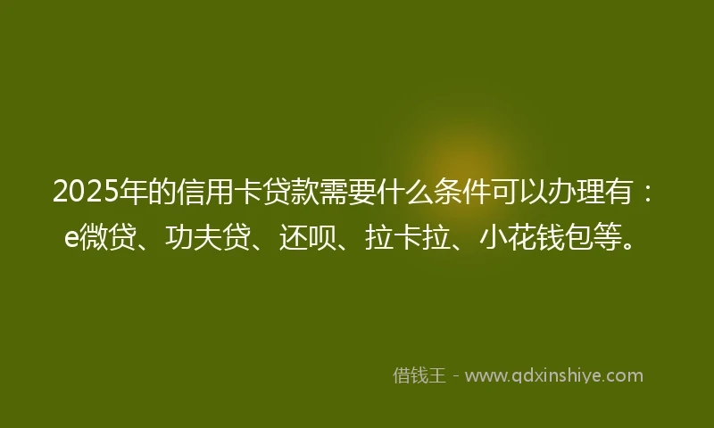 2025年的信用卡贷款需要什么条件可以办理有：e微贷、功夫贷、还呗、拉卡拉、小花钱包等。