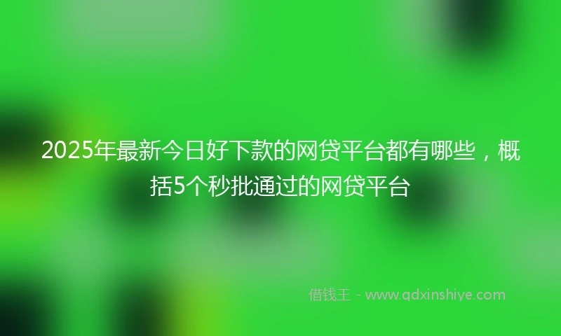 2025年最新今日好下款的网贷平台都有哪些，概括5个秒批通过的网贷平台