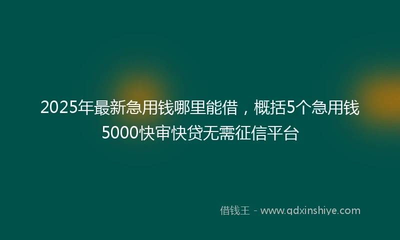 2025年最新急用钱哪里能借，概括5个急用钱5000快审快贷无需征信平台