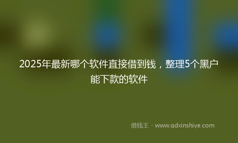 2025年最新哪个软件直接借到钱，整理5个黑户能下款的软件