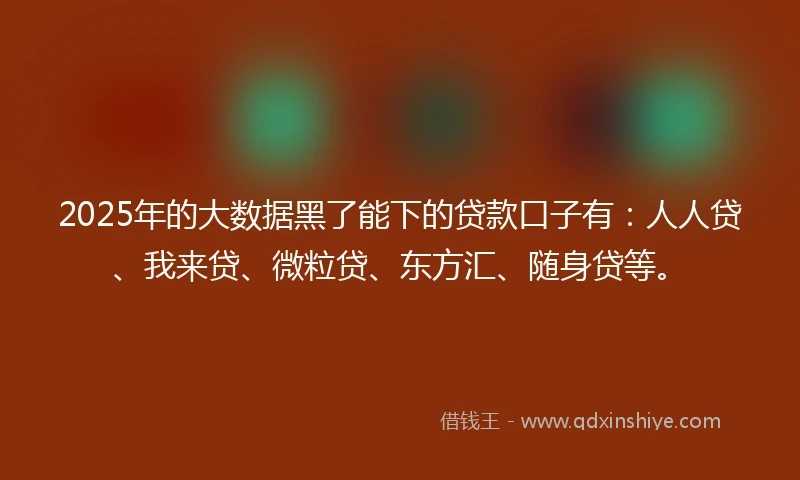 2025年的大数据黑了能下的贷款口子有：人人贷、我来贷、微粒贷、东方汇、随身贷等。