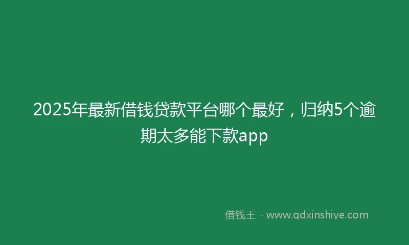 2025年最新借钱贷款平台哪个最好，归纳5个逾期太多能下款app