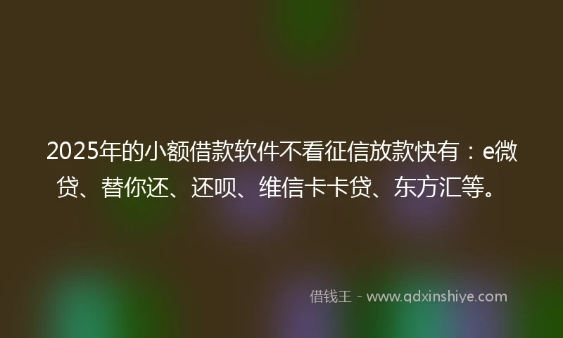 2025年的小额借款软件不看征信放款快有：e微贷、替你还、还呗、维信卡卡贷、东方汇等。