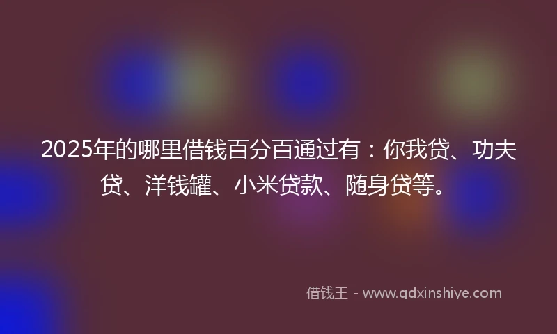 2025年的哪里借钱百分百通过有：你我贷、功夫贷、洋钱罐、小米贷款、随身贷等。