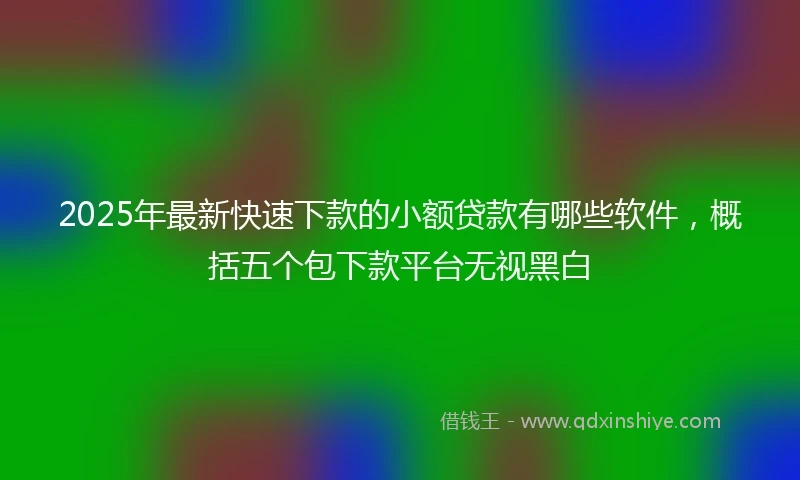 2025年最新快速下款的小额贷款有哪些软件，概括五个包下款平台无视黑白
