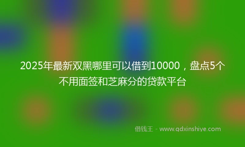 2025年最新双黑哪里可以借到10000，盘点5个不用面签和芝麻分的贷款平台