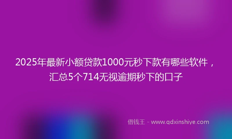 2025年最新小额贷款1000元秒下款有哪些软件，汇总5个714无视逾期秒下的口子