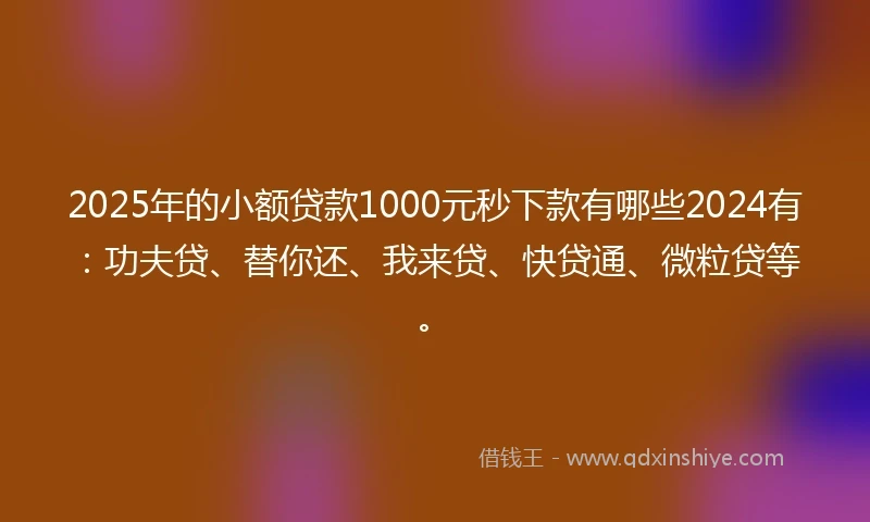 2025年的小额贷款1000元秒下款有哪些2024有：功夫贷、替你还、我来贷、快贷通、微粒贷等。