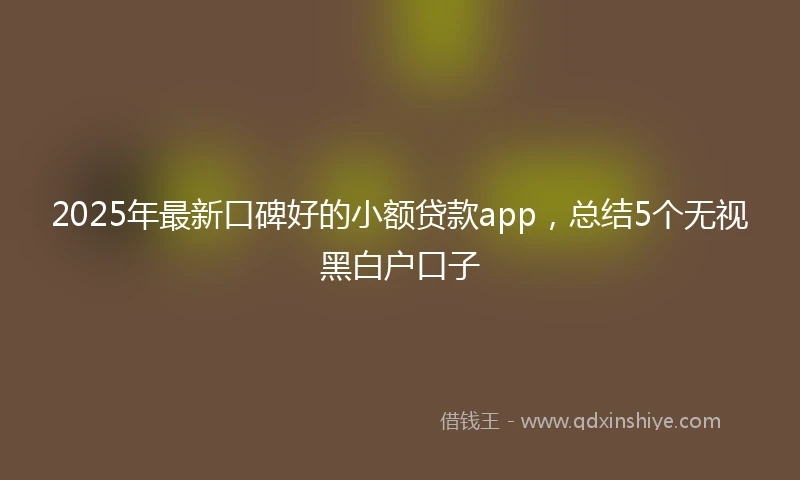 2025年最新口碑好的小额贷款app，总结5个无视黑白户口子