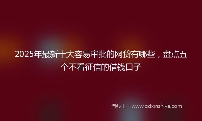 2025年最新十大容易审批的网贷有哪些，盘点五个不看征信的借钱口子