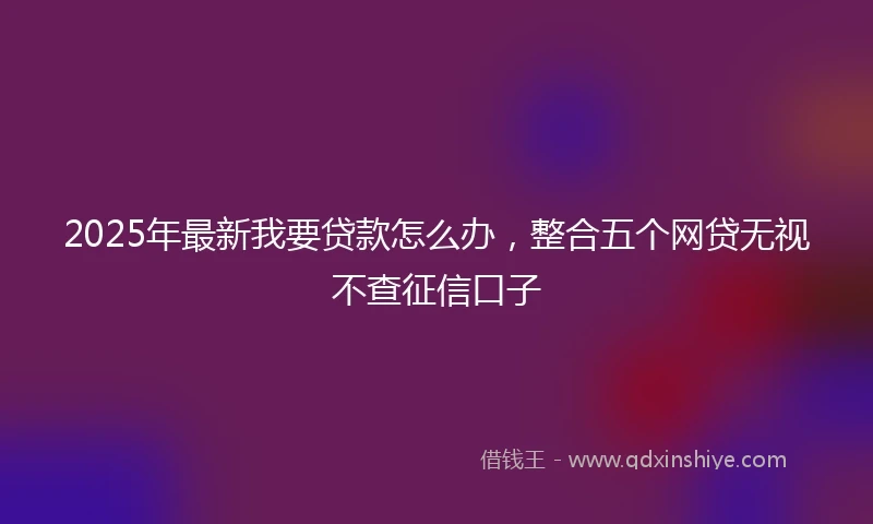 2025年最新我要贷款怎么办，整合五个网贷无视不查征信口子