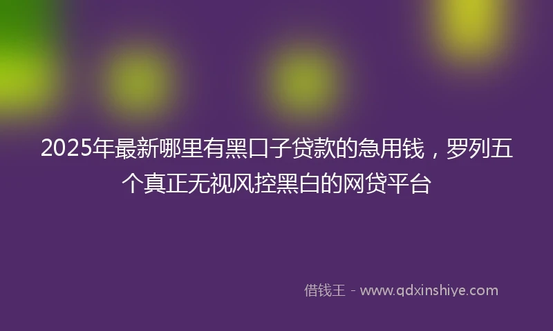 2025年最新哪里有黑口子贷款的急用钱，罗列五个真正无视风控黑白的网贷平台