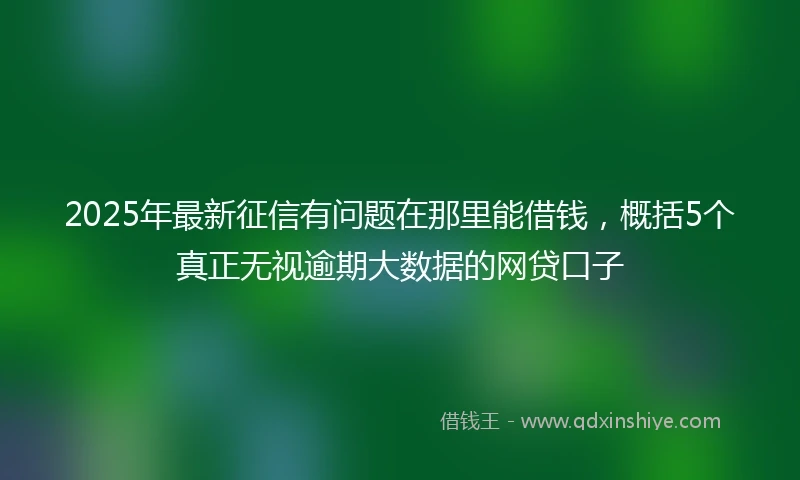 2025年最新征信有问题在那里能借钱，概括5个真正无视逾期大数据的网贷口子