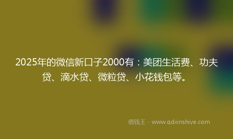 2025年的微信新口子2000有：美团生活费、功夫贷、滴水贷、微粒贷、小花钱包等。