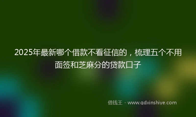 2025年最新哪个借款不看征信的，梳理五个不用面签和芝麻分的贷款口子