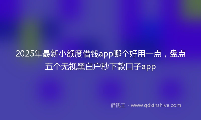 2025年最新小额度借钱app哪个好用一点，盘点五个无视黑白户秒下款口子app