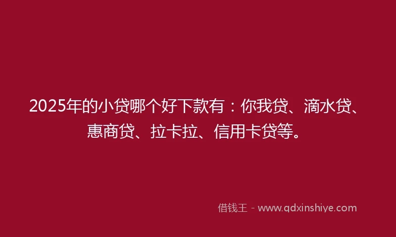 2025年的小贷哪个好下款有：你我贷、滴水贷、惠商贷、拉卡拉、信用卡贷等。