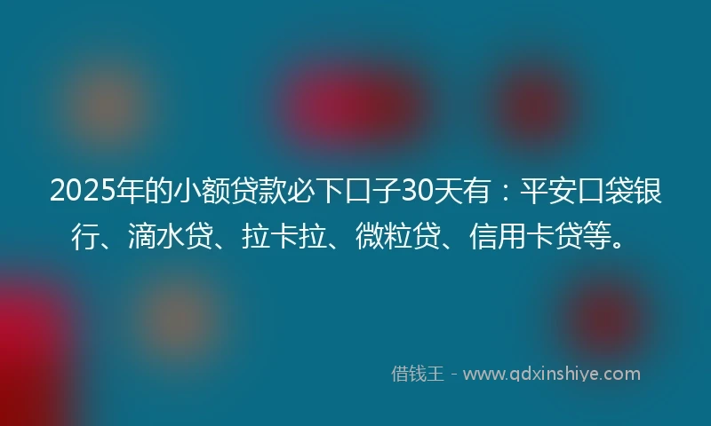 2025年的小额贷款必下口子30天有：平安口袋银行、滴水贷、拉卡拉、微粒贷、信用卡贷等。