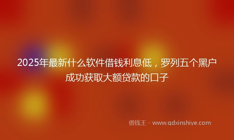2025年最新什么软件借钱利息低，罗列五个黑户成功获取大额贷款的口子