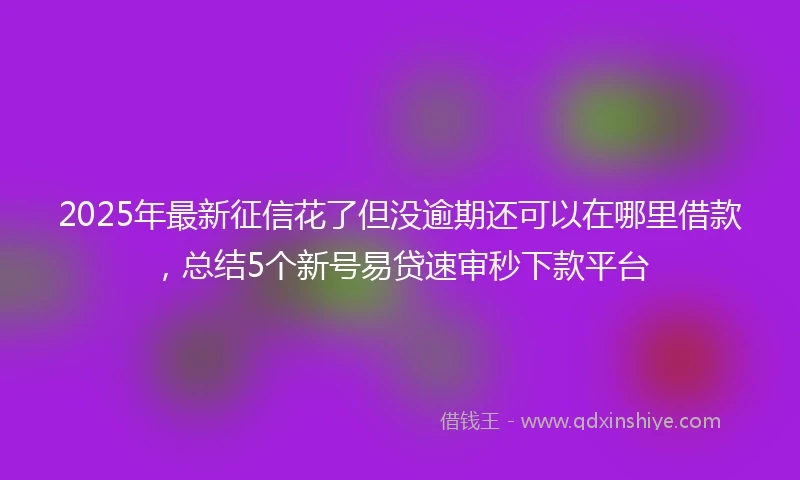 2025年最新征信花了但没逾期还可以在哪里借款，总结5个新号易贷速审秒下款平台