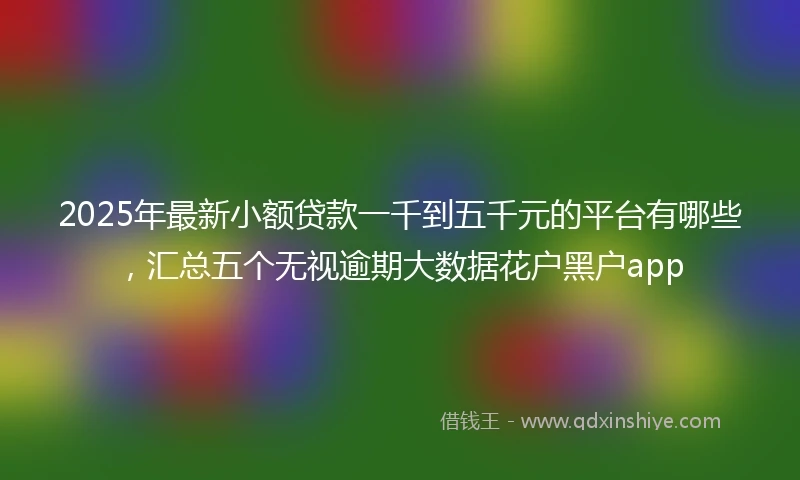 2025年最新小额贷款一千到五千元的平台有哪些，汇总五个无视逾期大数据花户黑户app