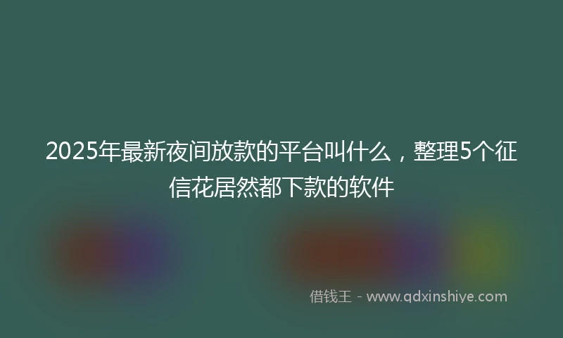 2025年最新夜间放款的平台叫什么，整理5个征信花居然都下款的软件