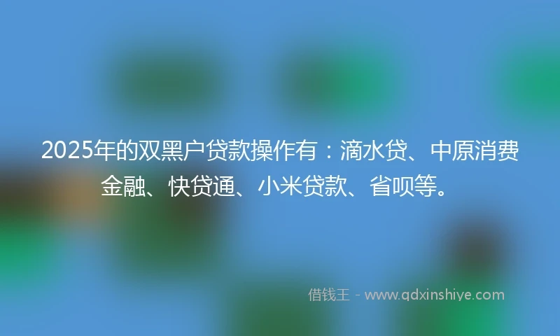 2025年的双黑户贷款操作有：滴水贷、中原消费金融、快贷通、小米贷款、省呗等。