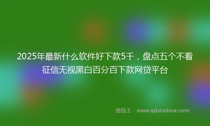 2025年最新什么软件好下款5千，盘点五个不看征信无视黑白百分百下款网贷平台