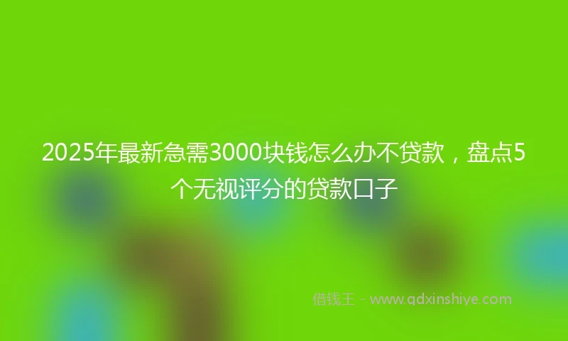 2025年最新急需3000块钱怎么办不贷款，盘点5个无视评分的贷款口子