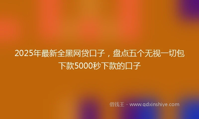 2025年最新全黑网贷口子，盘点五个无视一切包下款5000秒下款的口子