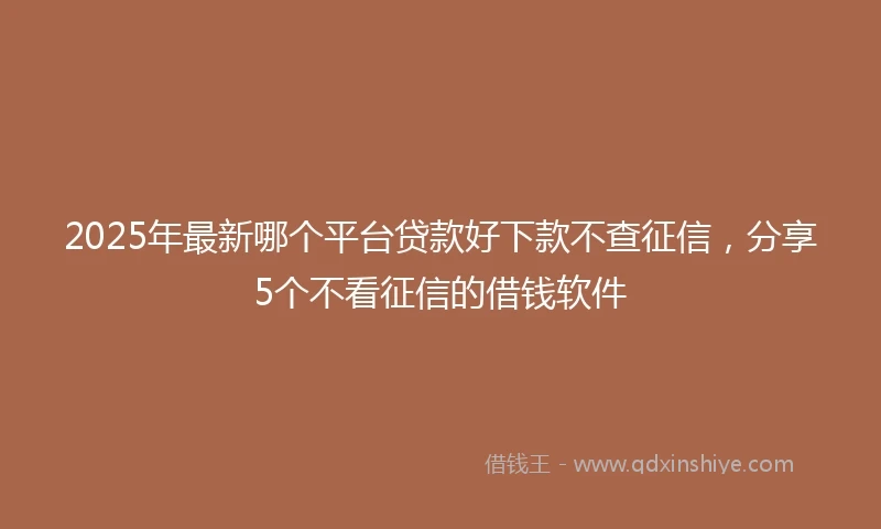 2025年最新哪个平台贷款好下款不查征信，分享5个不看征信的借钱软件