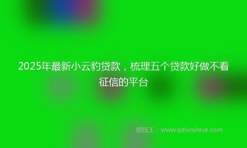 2025年最新小云豹贷款，梳理五个贷款好做不看征信的平台
