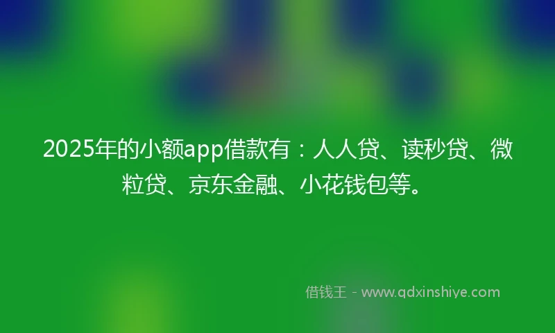 2025年的小额app借款有：人人贷、读秒贷、微粒贷、京东金融、小花钱包等。