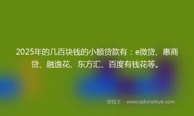 2025年的几百块钱的小额贷款有：e微贷、惠商贷、融逸花、东方汇、百度有钱花等。