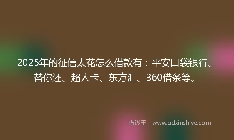 2025年的征信太花怎么借款有：平安口袋银行、替你还、超人卡、东方汇、360借条等。