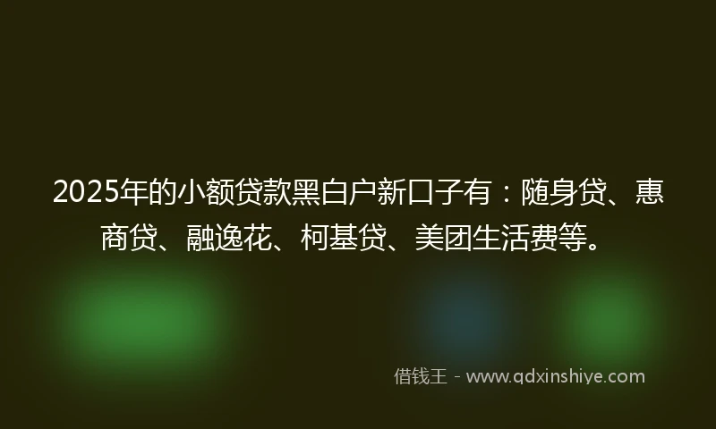 2025年的小额贷款黑白户新口子有：随身贷、惠商贷、融逸花、柯基贷、美团生活费等。